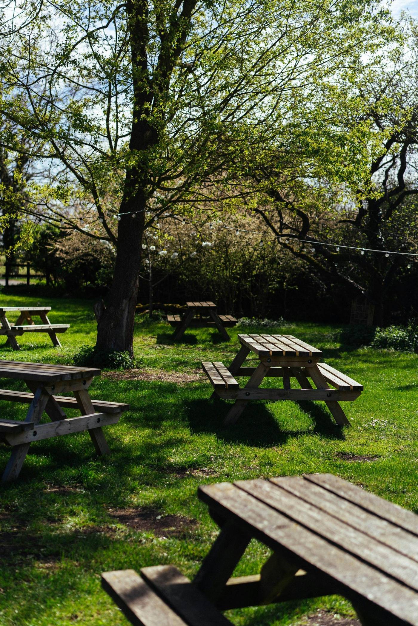 Gastgarten am Tag, Holzbänke unter Bäumen mit Lichterkette